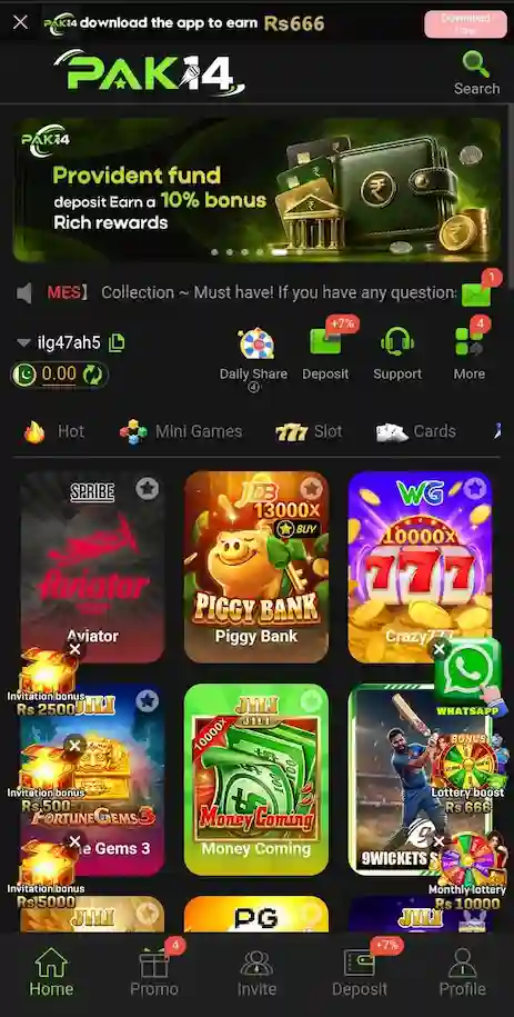 PAK14 Game Interface
